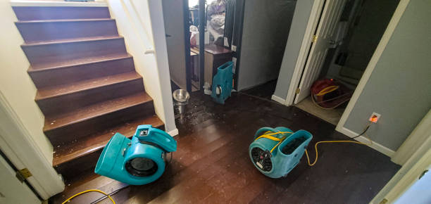 Best 24-hour water damage restoration  in Bunker Hill Village, TX