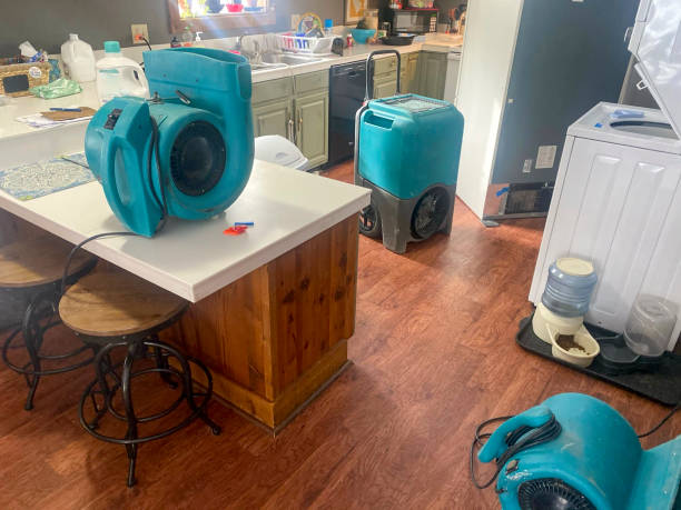 Best Flood restoration services  in Bunker Hill Village, TX