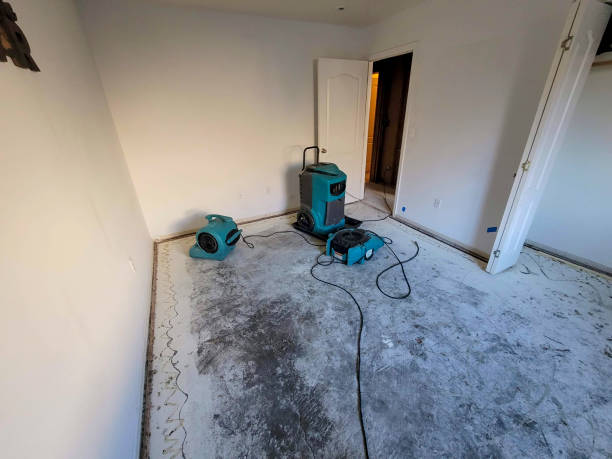 Best Water damage cleanup near me  in Bunker Hill Village, TX