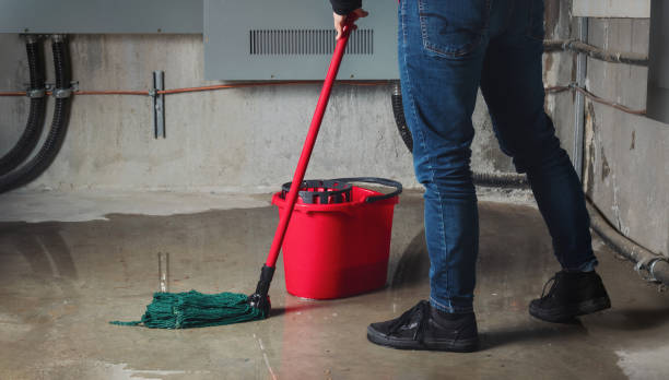  Bunker Hill Village, TX Water damage restoration Pros