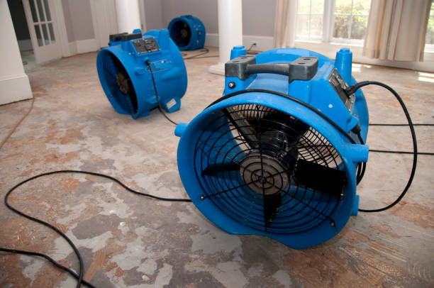 Best Carpet water damage restoration  in Bunker Hill Village, TX