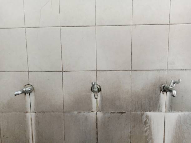 Best 24-hour water damage restoration  in Bunker Hill Village, TX
