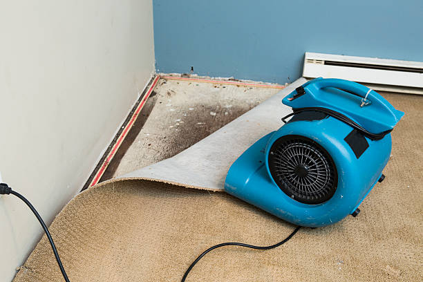 Best Ceiling water damage repair  in Bunker Hill Village, TX